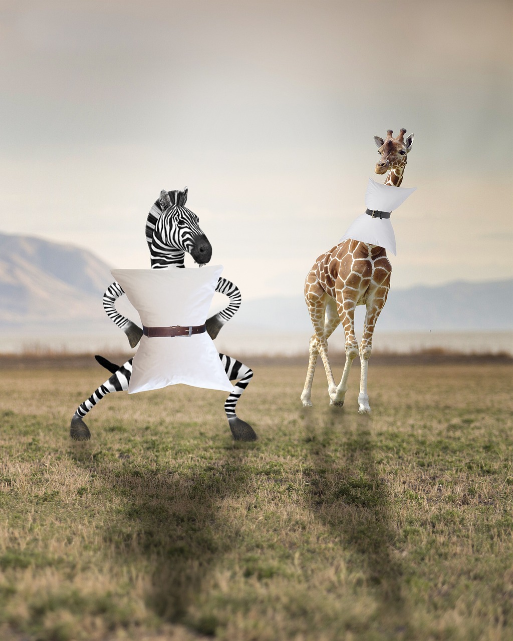 zebra, giraffe, pillow, africa, zebra, zebra, zebra, giraffe, giraffe, giraffe, pillow, pillow, pillow, pillow, pillow
